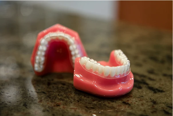 A set of model teeth